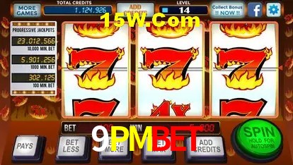 Sistemas de Segurança 9PMBET